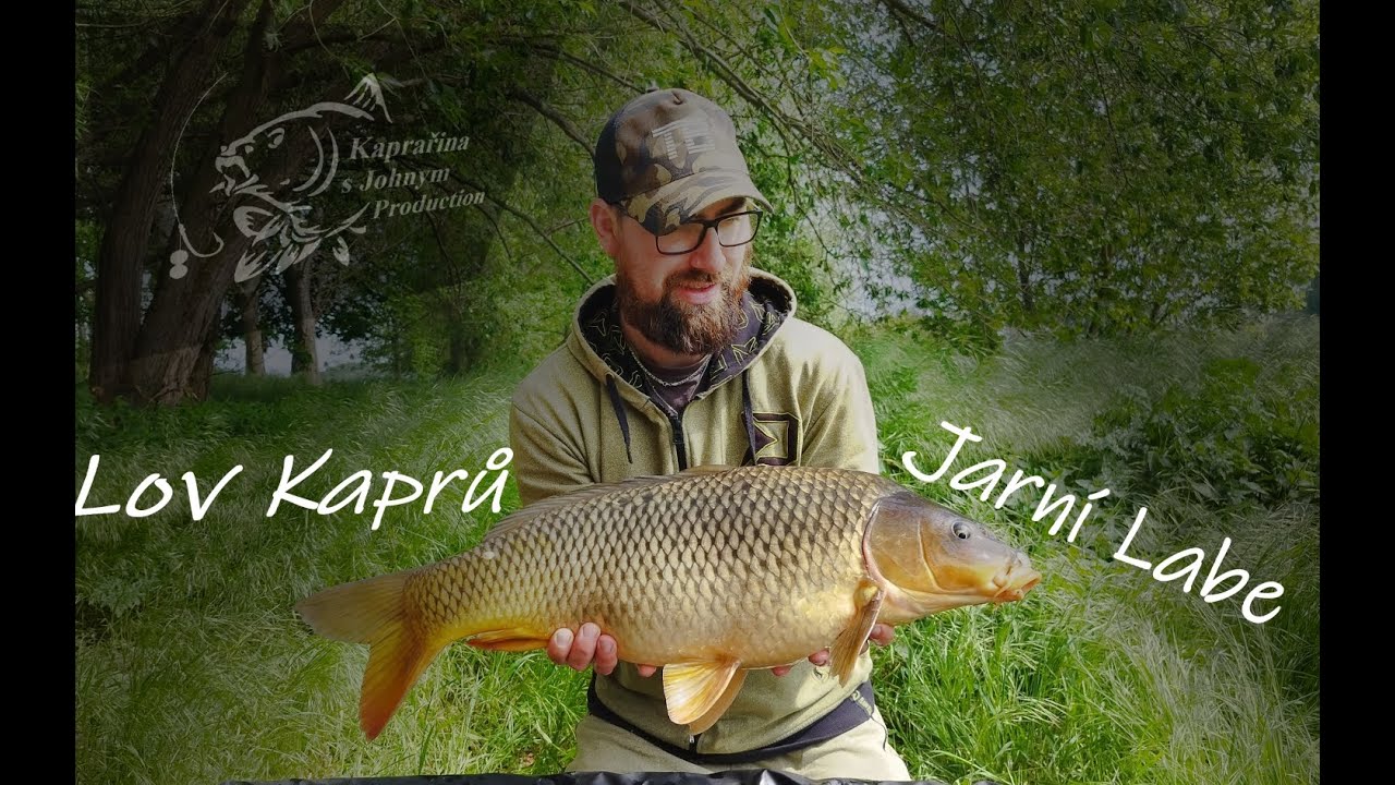 Kapři se probouzejí! Jarní Lov na Labi