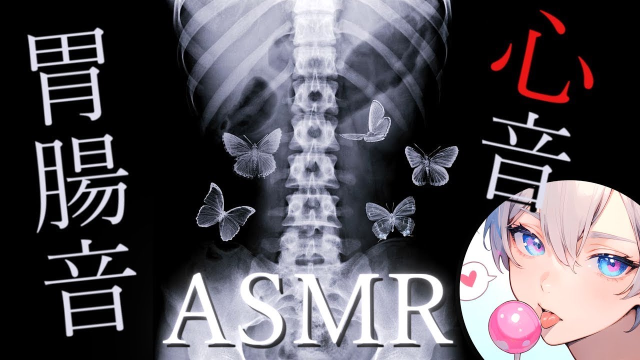 【心音/胃腸音/タイピング音/囁き】電子聴診器でASMR配信をしながら作業するよ🫀🔊【Heartbeat】