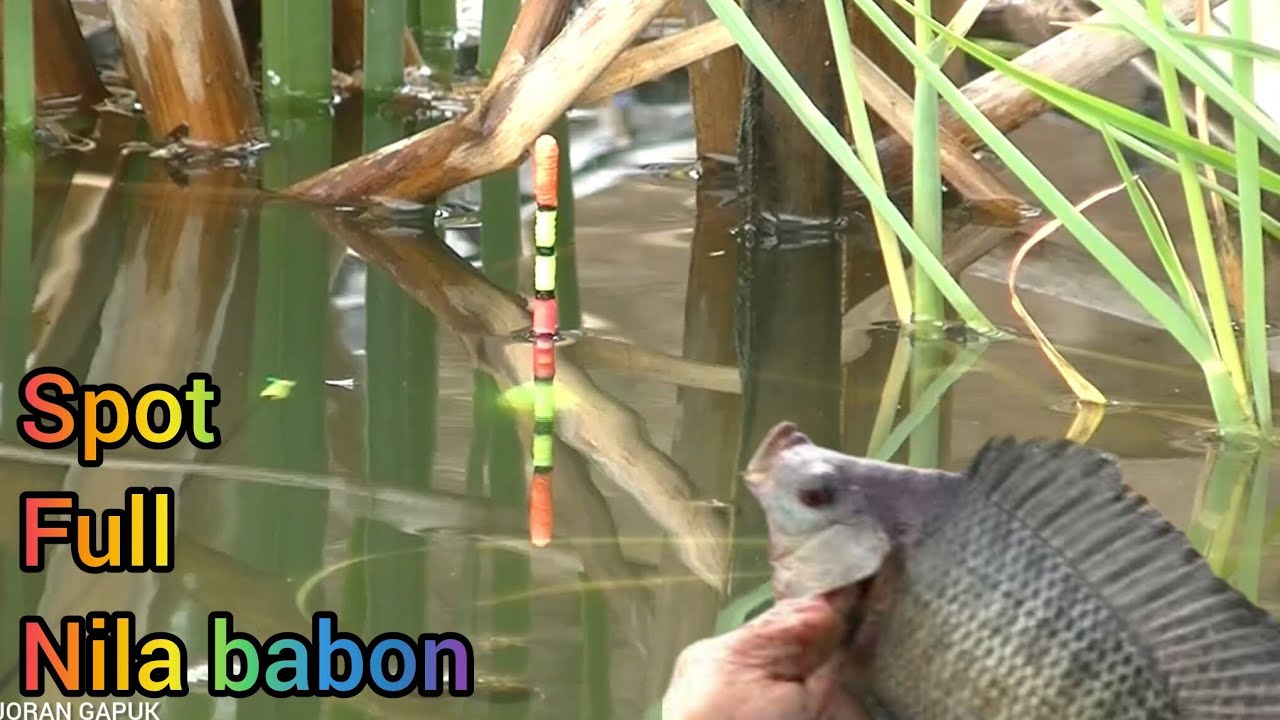 Spot Ini Yang Jiwa Pemancing Mu Begetar...! SPOT LIAR Full NILA BABON