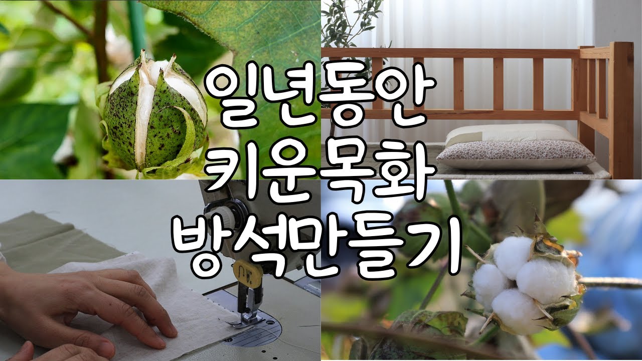 하늘지붕 🧵 일년동안 키운 목화솜으로 방석 만들기 ㅣ 리틀포레스트 힐링 바느질  🏡 From Cotton Farm to Cushion Sewing ㅣ Slow Living
