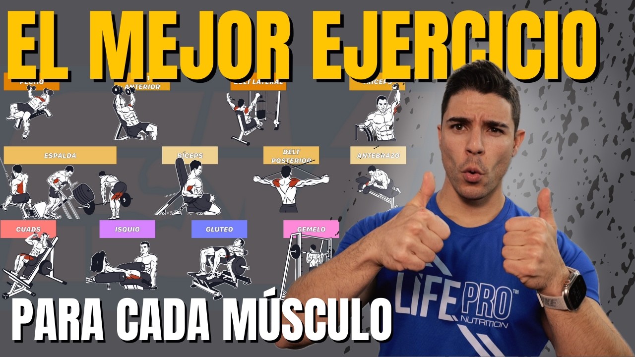 El MEJOR EJERCICIO para cada MÚSCULO para HIPERTROFIA: Reto a Entrenador PRO