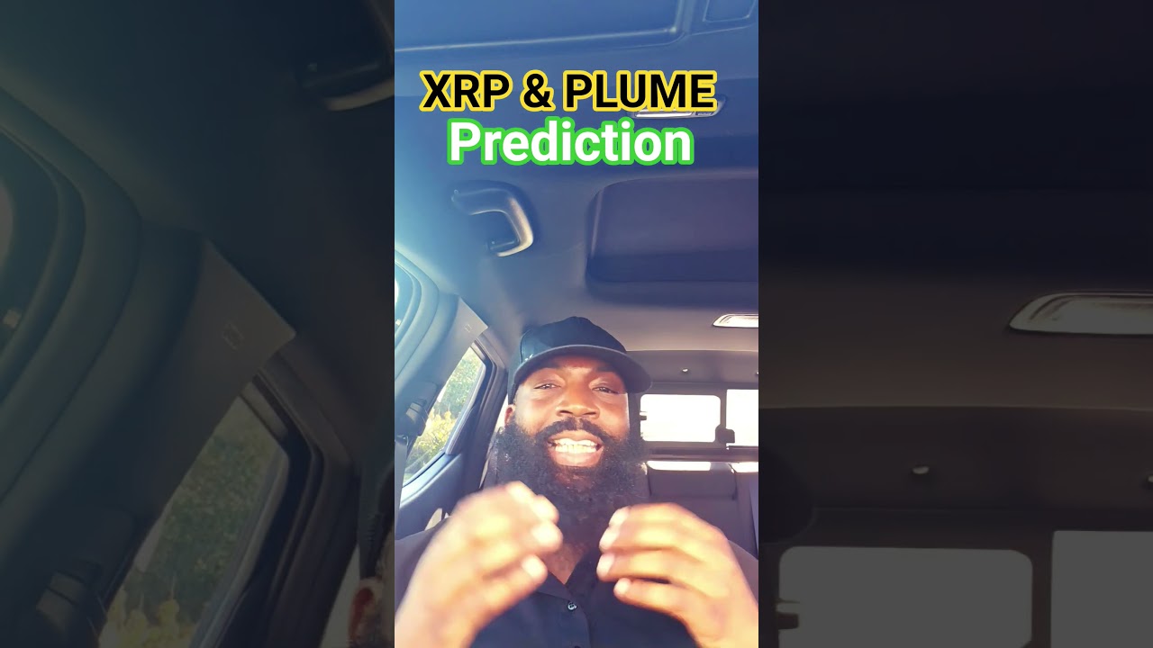 Прогноз сети XRP и PLUME