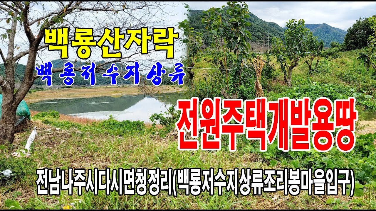 🏕22-137[전남나주시지역토지][다시면청정리땅]🏞백룡산자락,백룡저수지상류,조리봉마을,월암로도로변,감나무밭,농림지역,전(1,976py)매매~