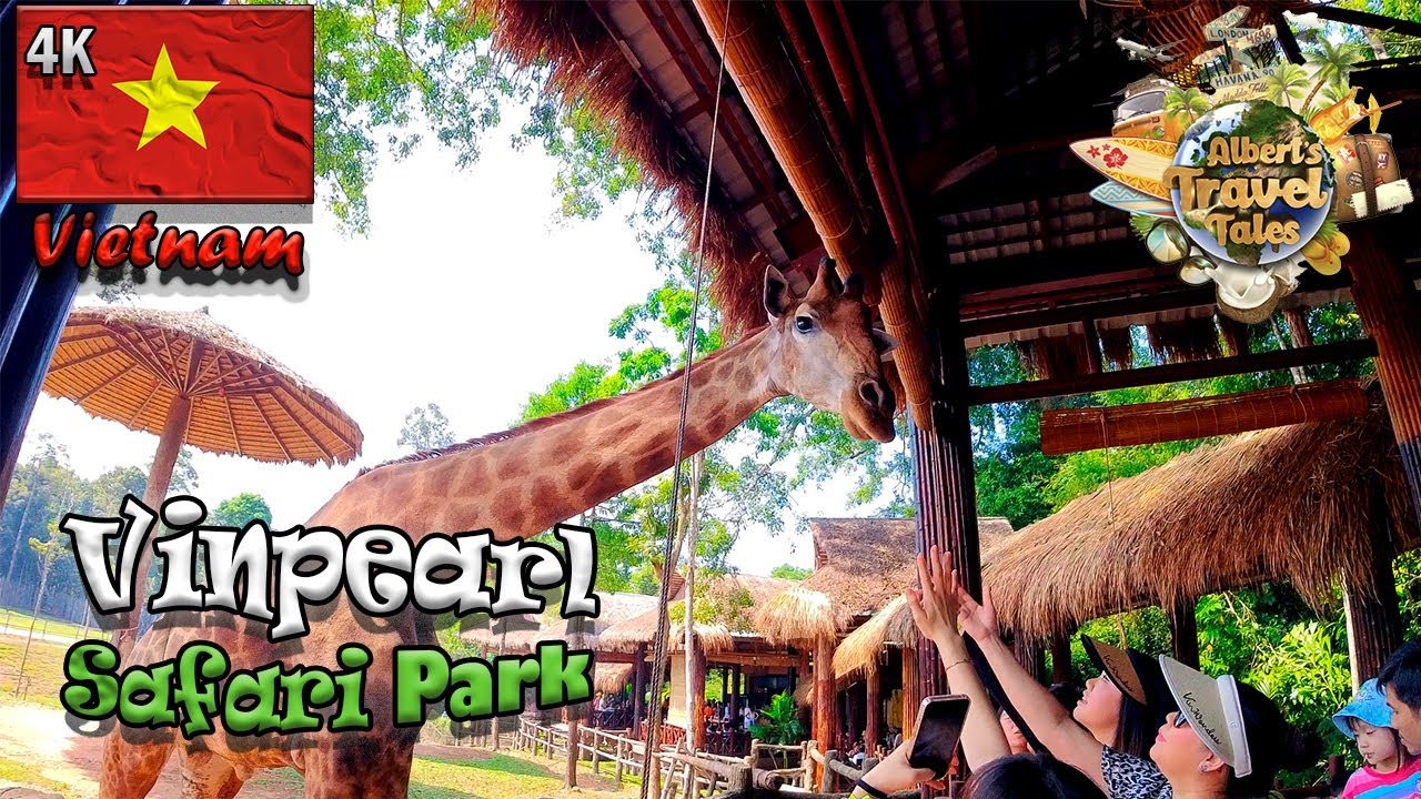 Знакомство с дикой природой в Vinpearl Safari Phu Quoc, Вьетнам | Кормление жирафов и слонов