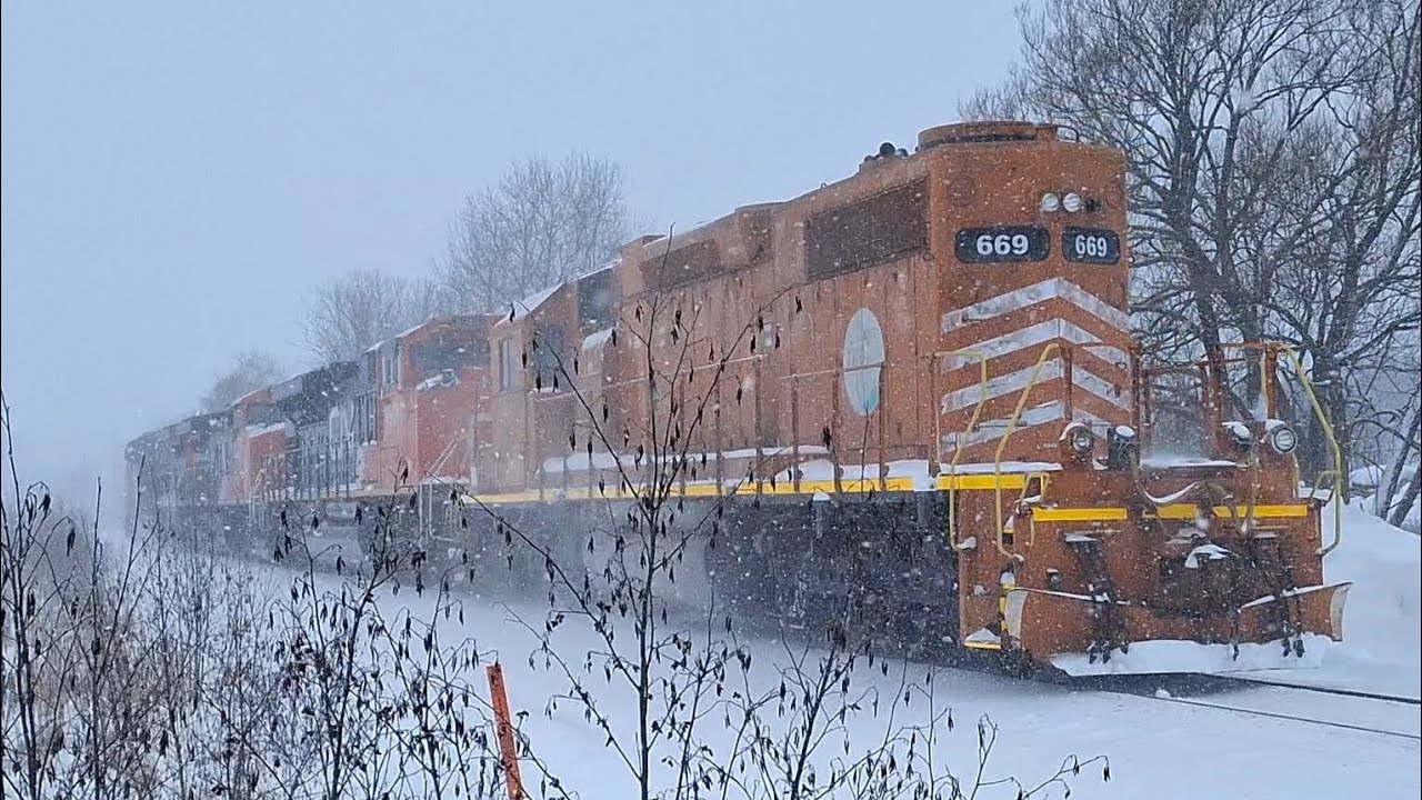 One Of The WEIRDEST Action I Have Ever Seen In HEAVY Snow!