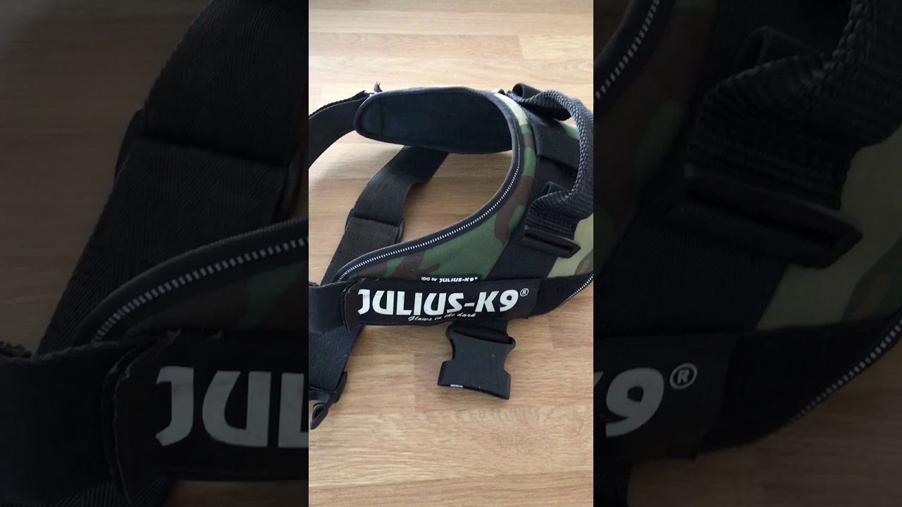 Julius k9 Power Harness