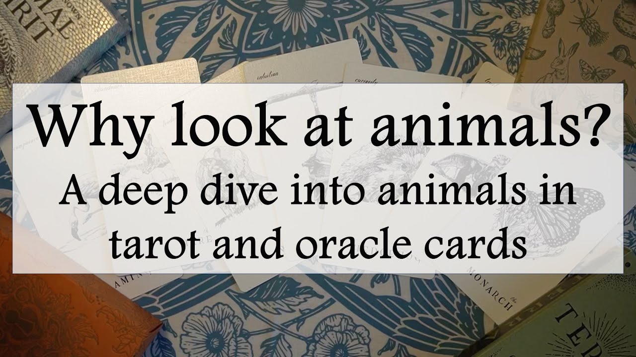 Why look at animals? A deep dive exploring animals in tarot and oracle decks