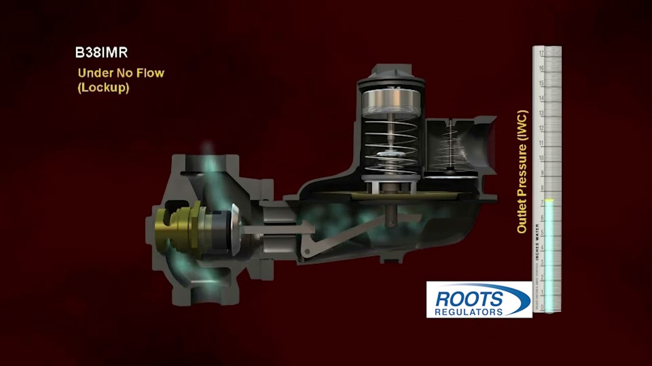 ROOTS Regulators B38IMR Animation