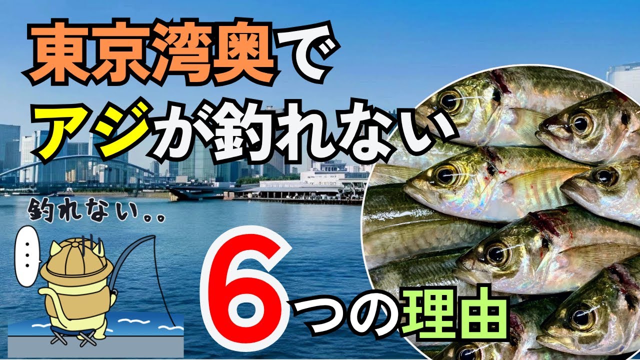 東京湾奥でアジが釣れない6つの理由【湾奥の主要釣り場の実績と釣果UPのヒントも徹底解説】