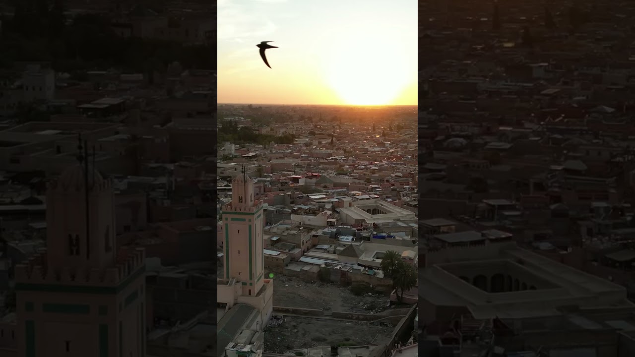 Marrakech skyline #morocco  #drone  #sunset  #shorts