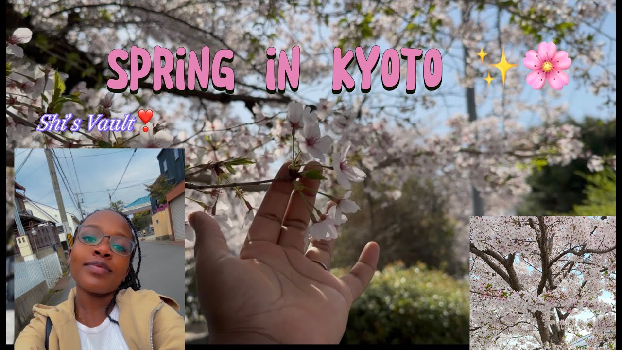 SPRING IN KYOTO 2025/ Capturing the beautiful cherry blossoms 🌸 🌺 /