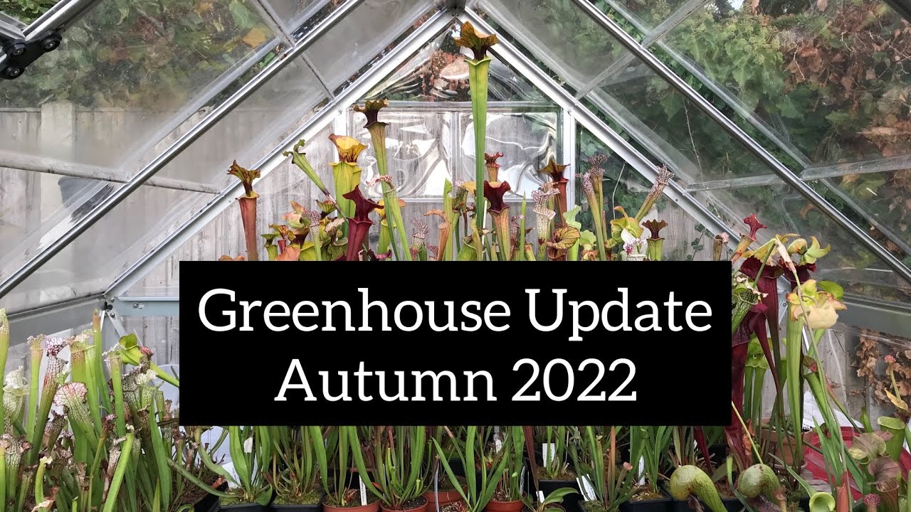 Greenhouse Tour - Autumn 2022 | New Plants, Old Plants and Exciting Updates!
