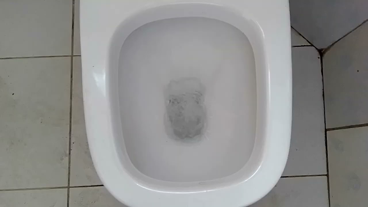 Bacia sanitária incepa Ibiza convencional fabricada em 2003