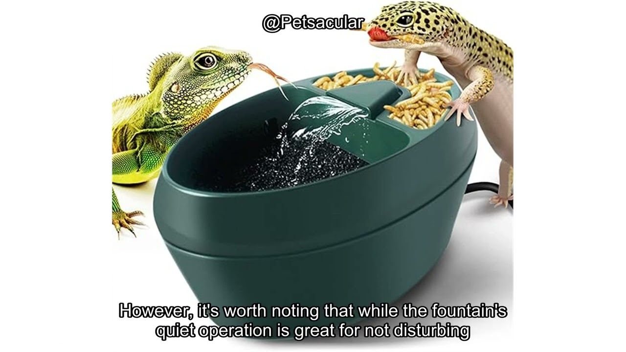 Reptile Drinking Water Fountain Review: Is It Worth the Investment for Your Pet&rsquo;s Habitat?