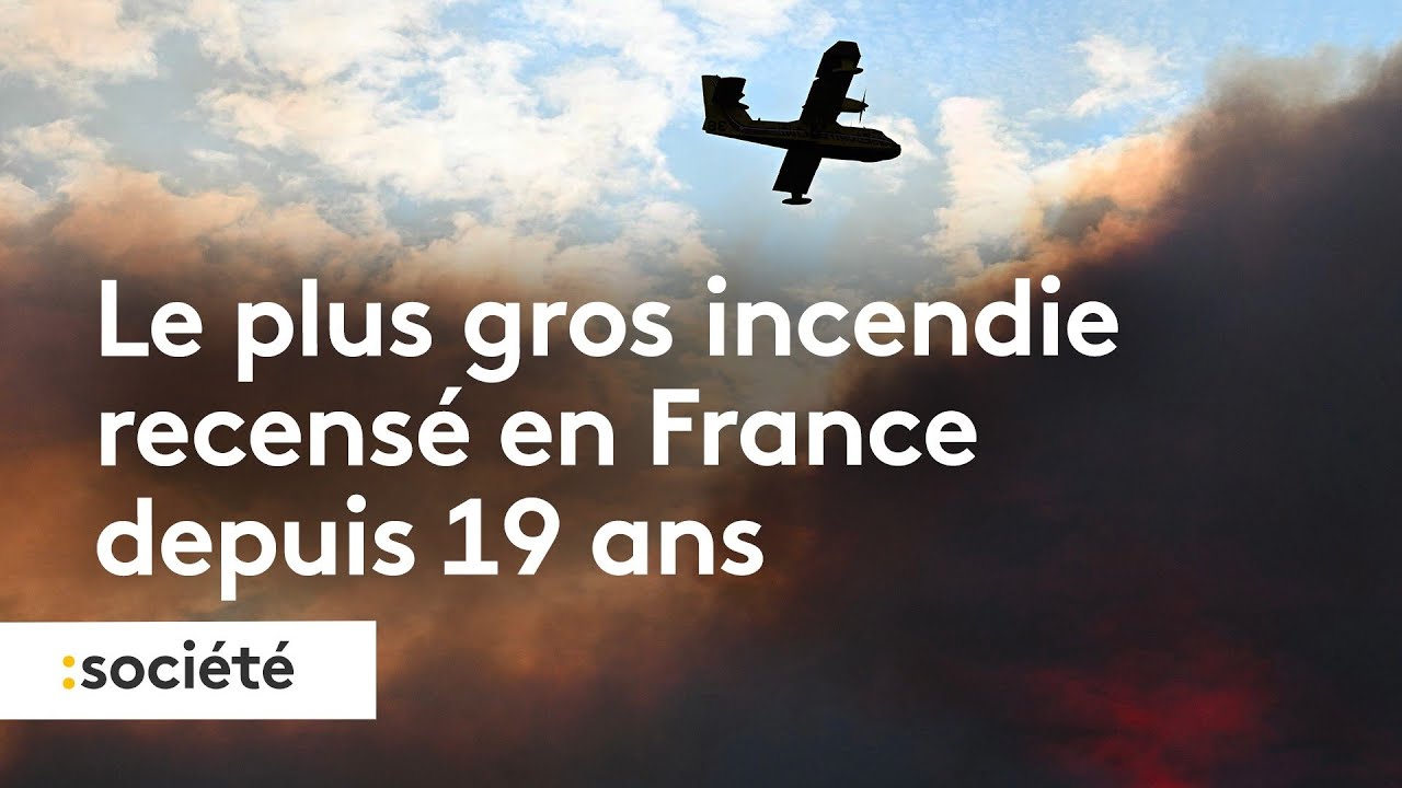 Incendie dans l'Aude : 16 000 hectares partis en fumée