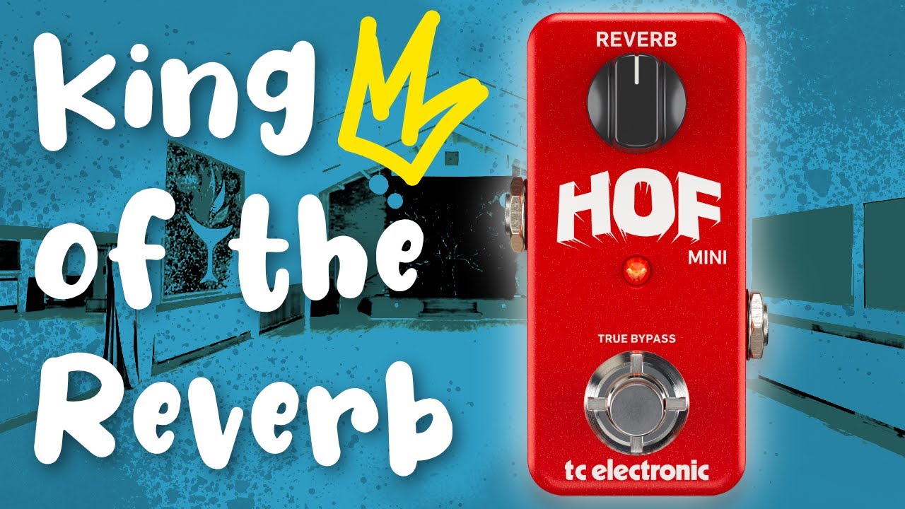 The KING of budget verb? TC Electronic Hall of Fame Mini