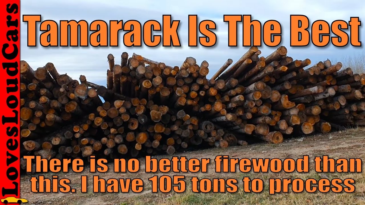 105 tons of Tamarack to process into firewood