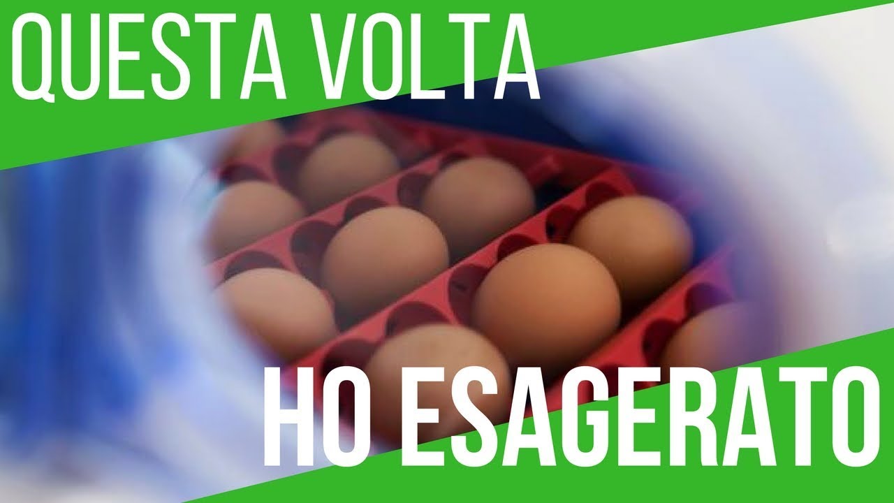COME INCUBARE LE UOVA | PROVA LA BOROTTO REAL 49 PLUS