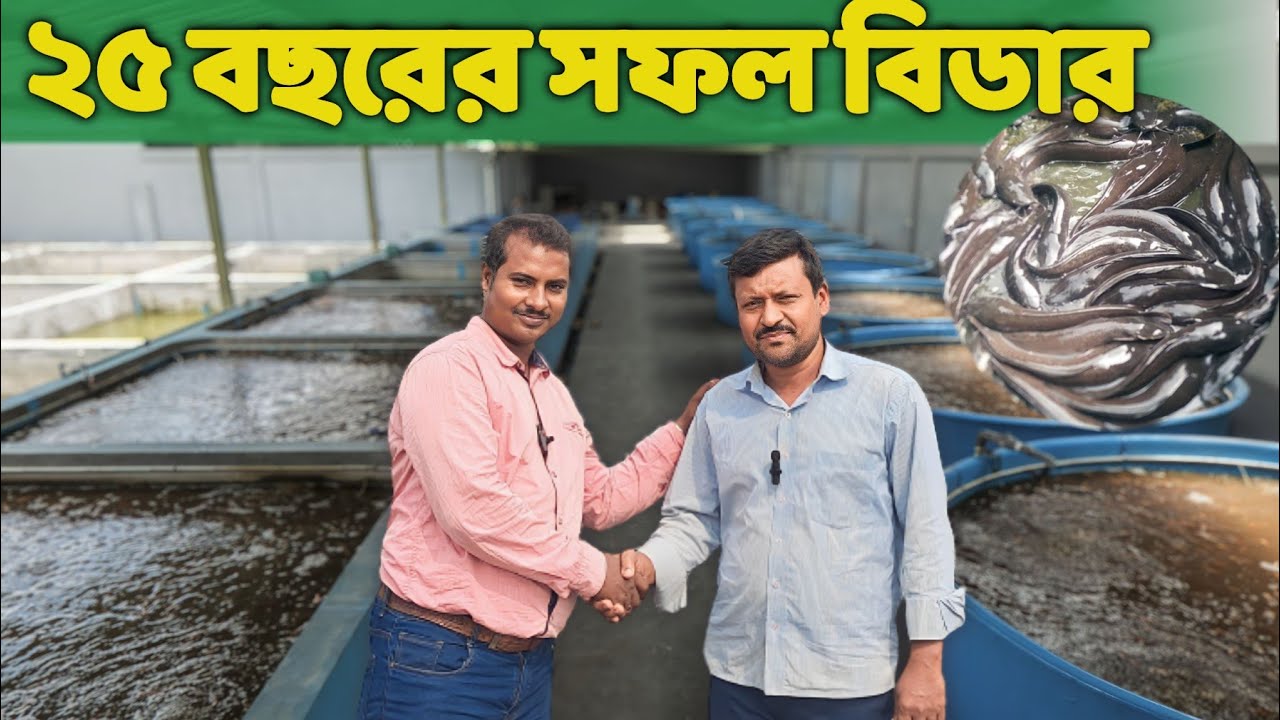 25 বছরের অভিজ্ঞ বিডার শিং মাছের বাচ্চা উৎপাদনে পাচ্ছেন সাফল্য। catfish breeding farm in West Bengal.