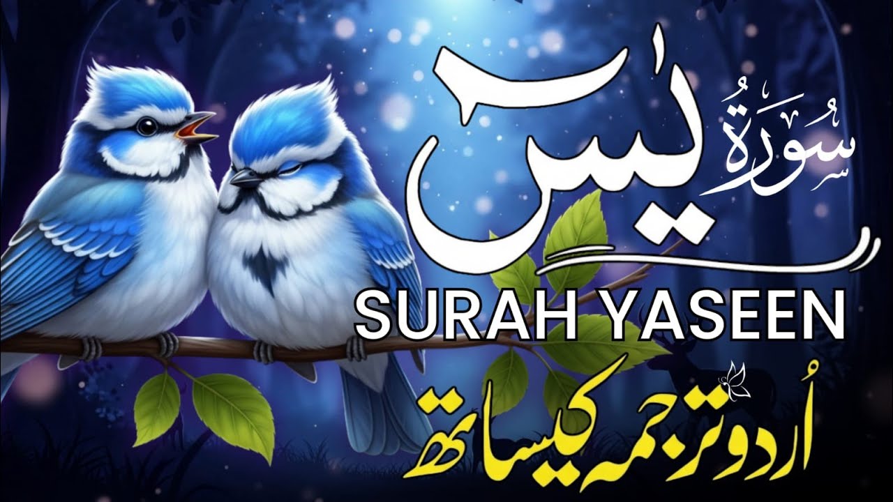 Surah Yaseen Full With Urdu Translation | Heart Touching Tilawat | قاری منصور غزنوی EP|012