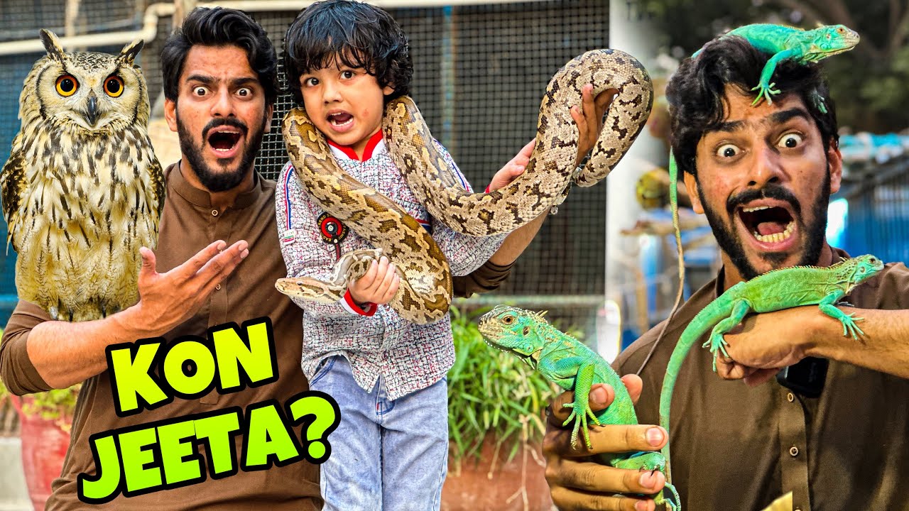 1 CAROR K ANIMALS K SATH KHATARNAK CHALLENGES KARLIE 😱| MISHKAT KHAN | ADVENTURE