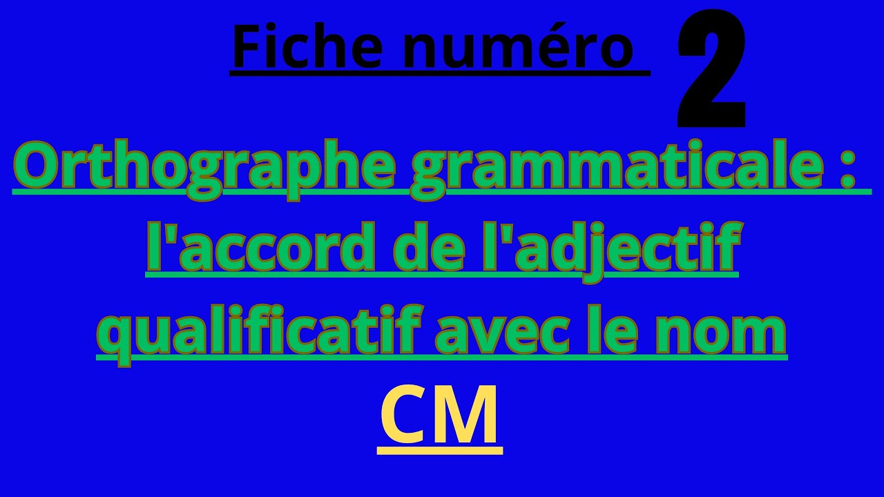Orthographe grammaticale, niveau CM : l'accord de l'adjectif qualificatif avec le nom 