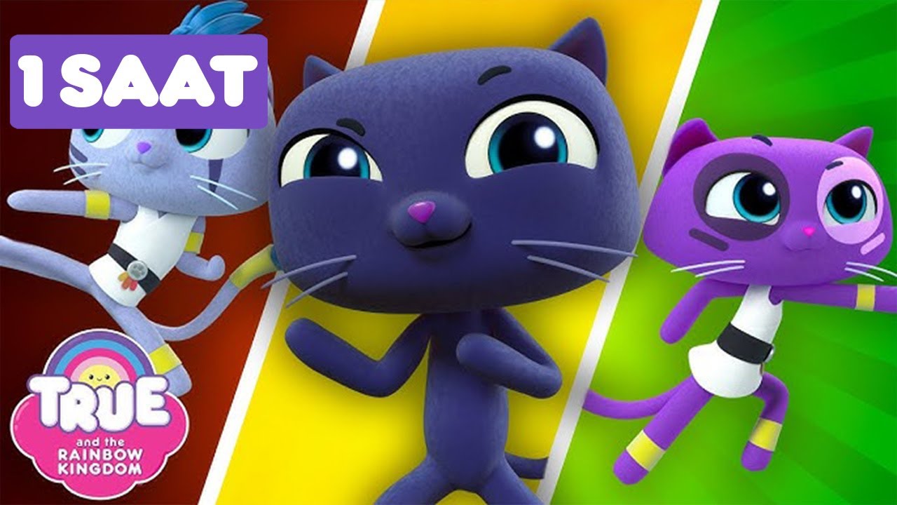 1 SAAT: True ve Gökkuşağı Krallığı 🌈  Çizgi Film - Cartoon Network