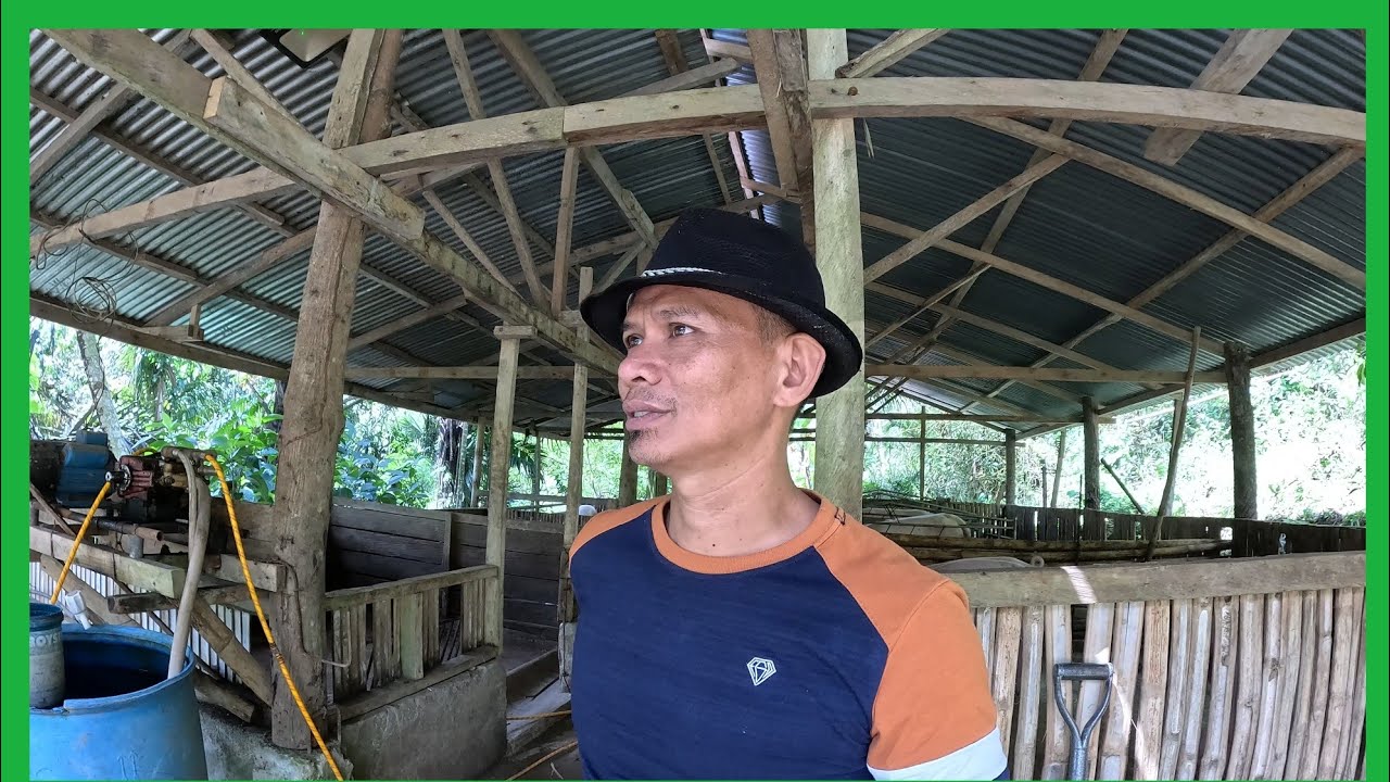 Pagkatapos NG BAKA MGA BABOY NAMAN NAMIN ANG MALAPIT NA MANGANAK 