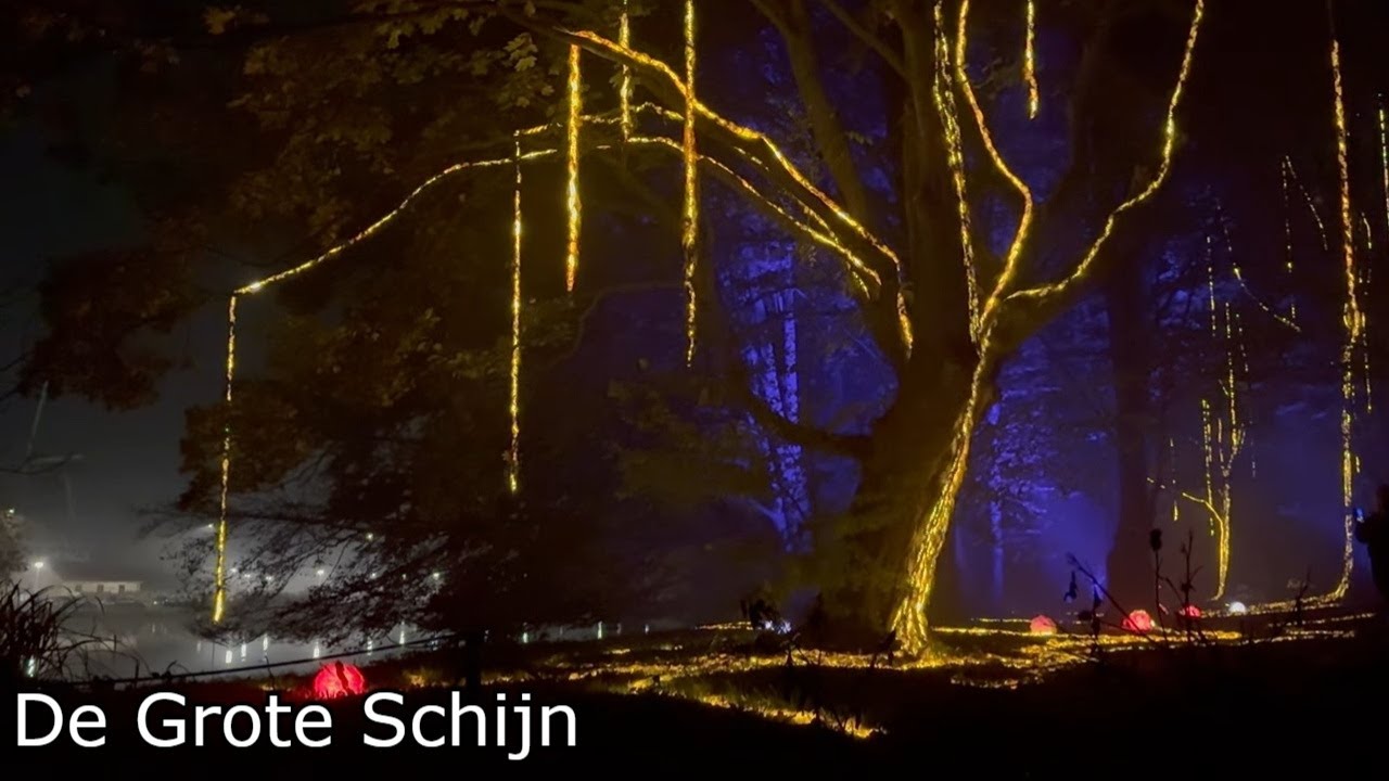 De Grote Schijn. An incredible night walk through the glowing forest Kralingse Bos