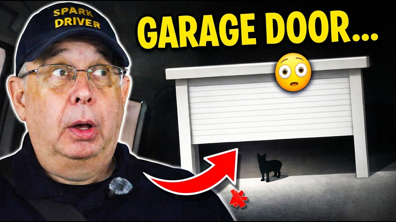 The Garage Door Opened… And This Happened?