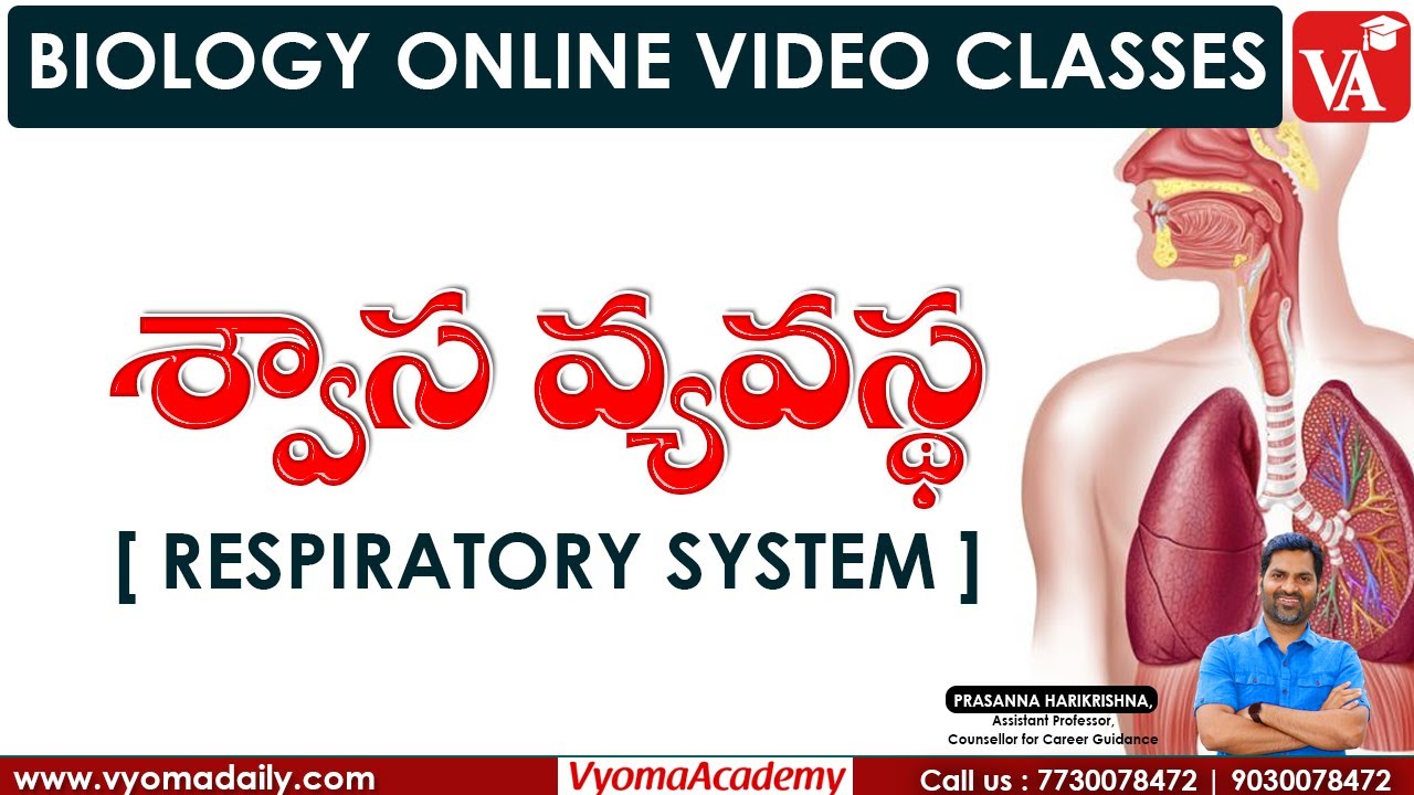 శ్వాస వ్యవస్థ | Respiratory System | Biology Classes | Prasanna Harikrishna sir | VYOMA ACADEMY