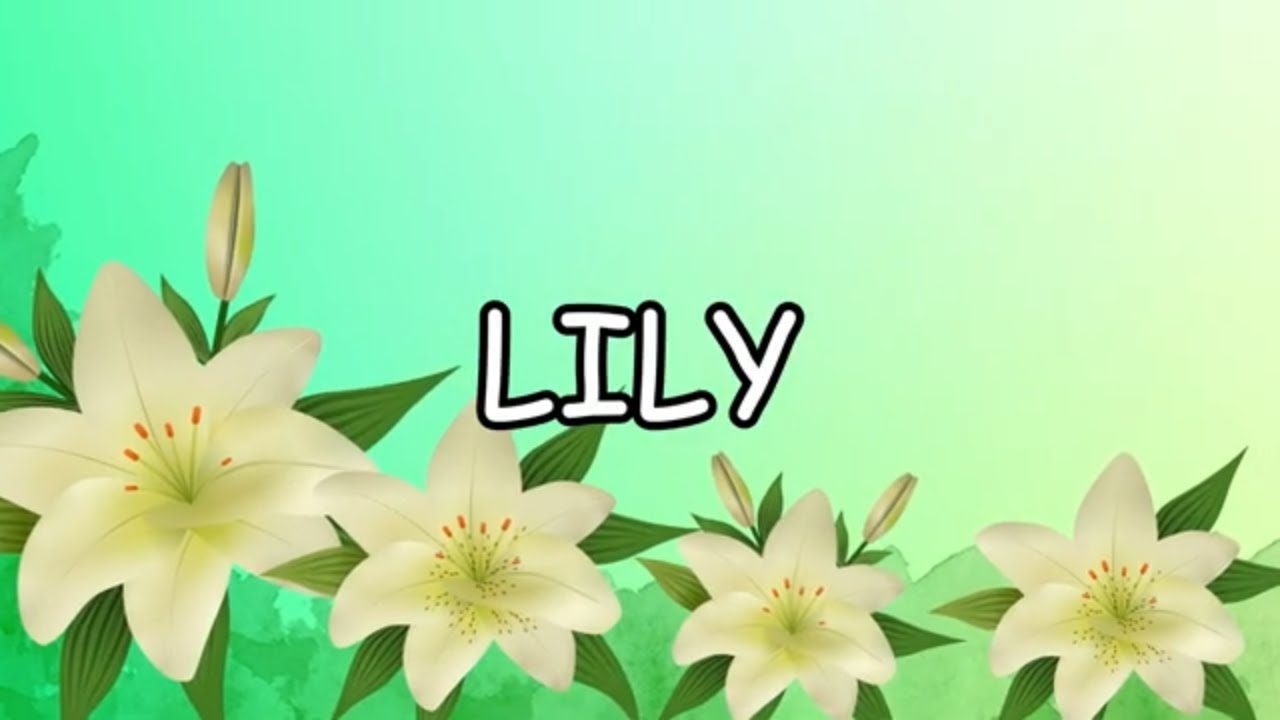 Давайте узнаем о Лили