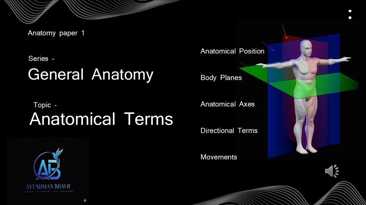 1  anatomical terms (general anatomy) | anatomy paper 1 for BNYS | BAMS | MBBS | medical students