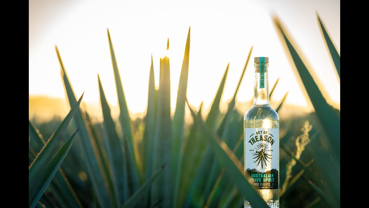 Act of Treason: Australian grown agave spirit launch - just don't call it tequila