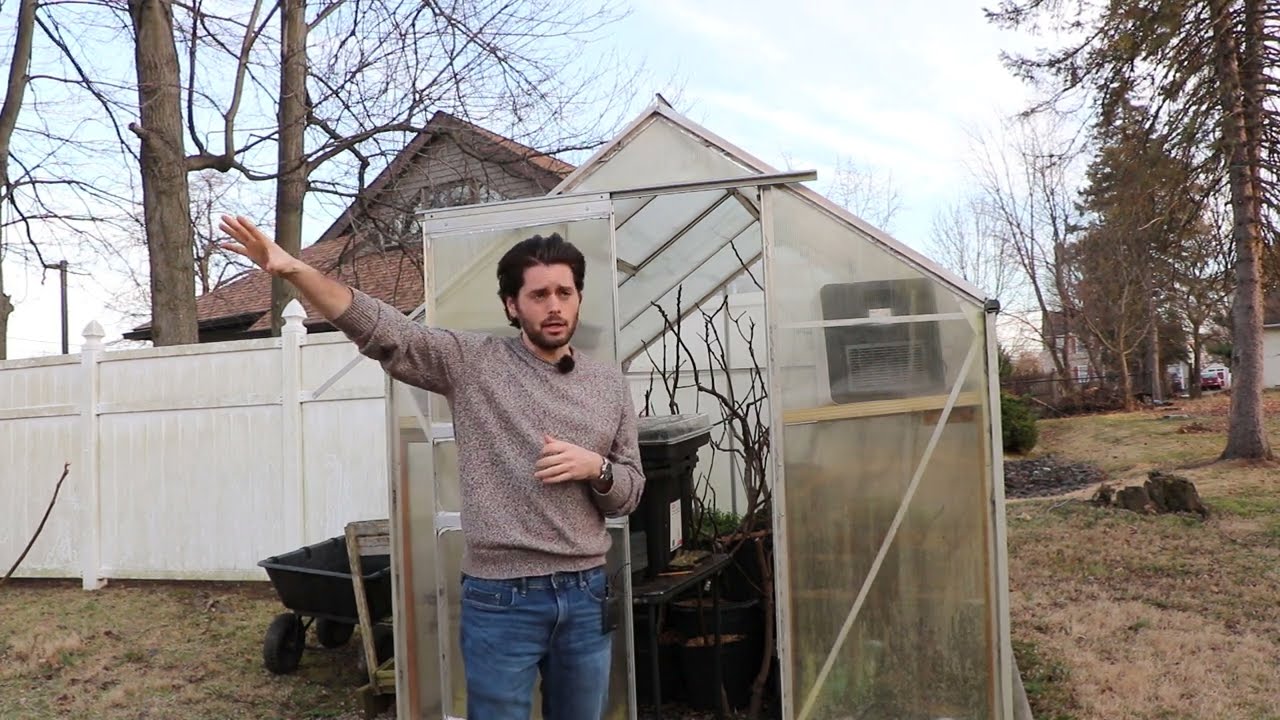 Artificially Starting the Fig Growing Season