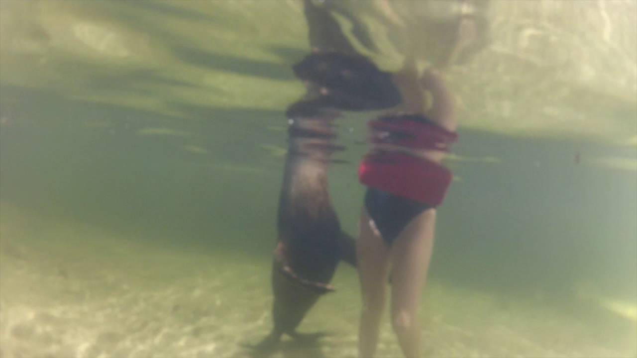 Theatre of the Sea - Swim with Mimi