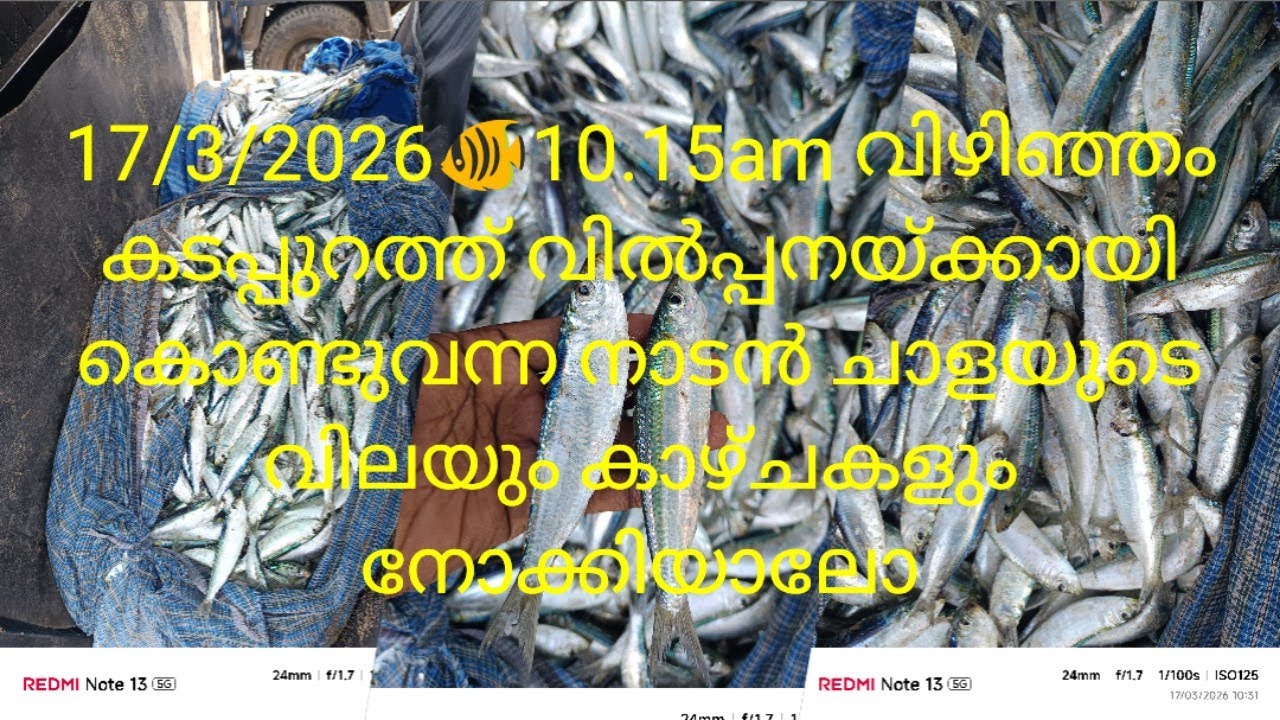 17/3/2026🐠10.15amവിഴിഞ്ഞം കടപ്പുറത്ത് വില്പനയ്ക്കായി കൊണ്ടുവന്നനാടൻ ചാളയുടെ വിലയും കാഴ്ചകളുംനോക്കാമോ