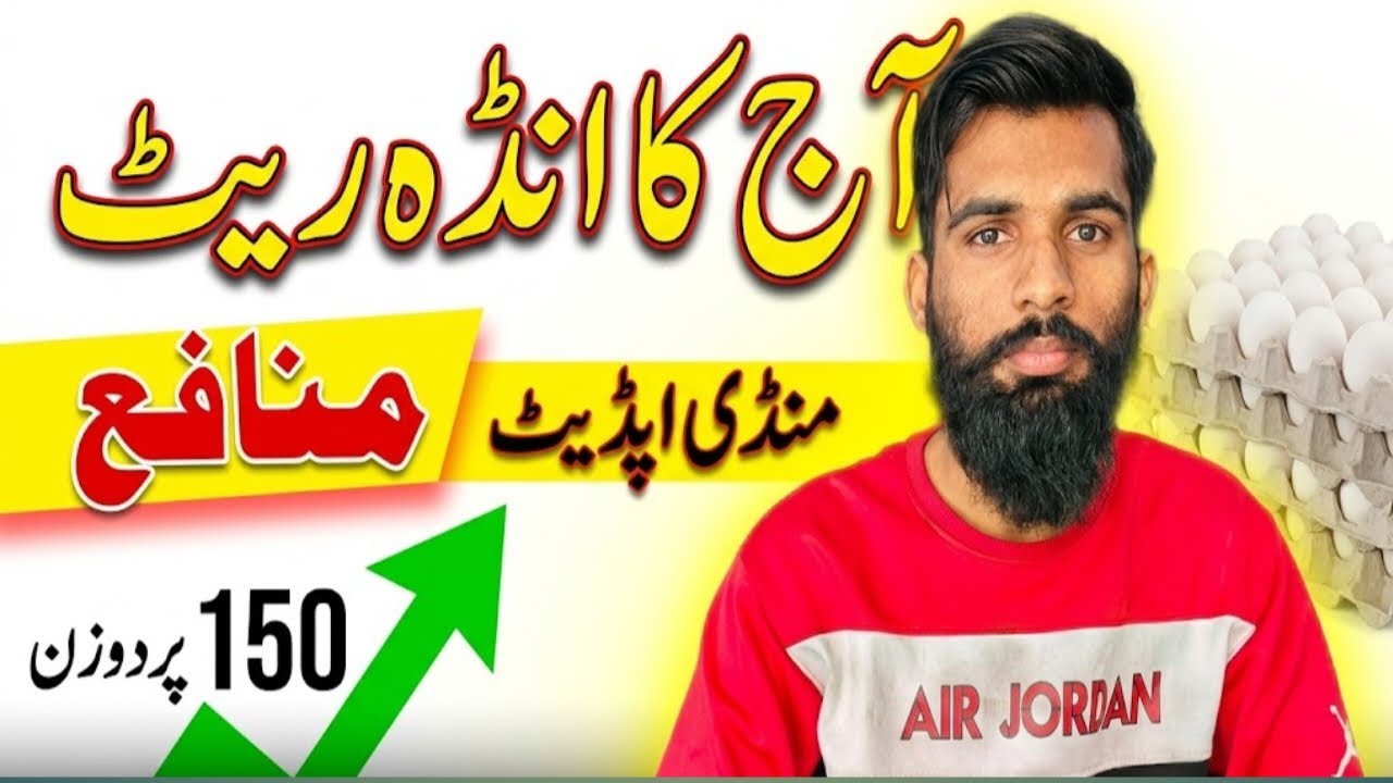 Today Egg Price and Profit in Pakistan | انڈہ منڈی ریٹ | High Profit Poultry Business