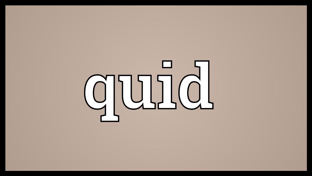 Quid Meaning