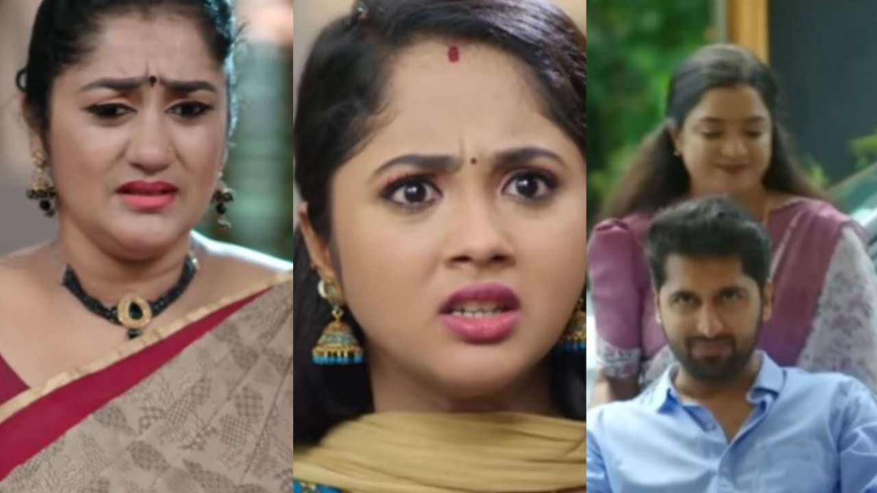 ഒരു പോറൽ പോലും ഏൽക്കാതെ മഹി തിരികെ വരുന്നത് കണ്ട് തളർന്നു വീണു കരുണMahalakshmi serial review 