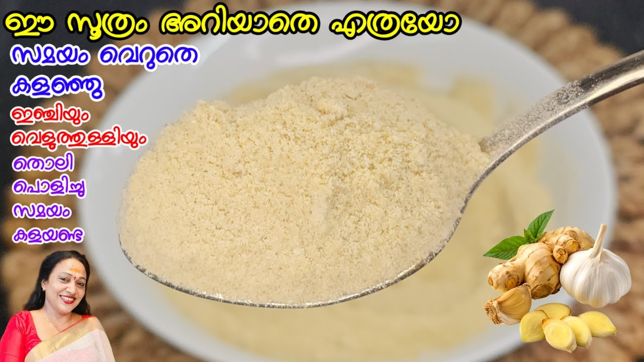 ഈ സൂത്രം അറിയാതെ എത്രയോ സമയം വെറുതെ കളഞ്ഞു |Instant Ginger Garlic Powder Recipe Malayalam 