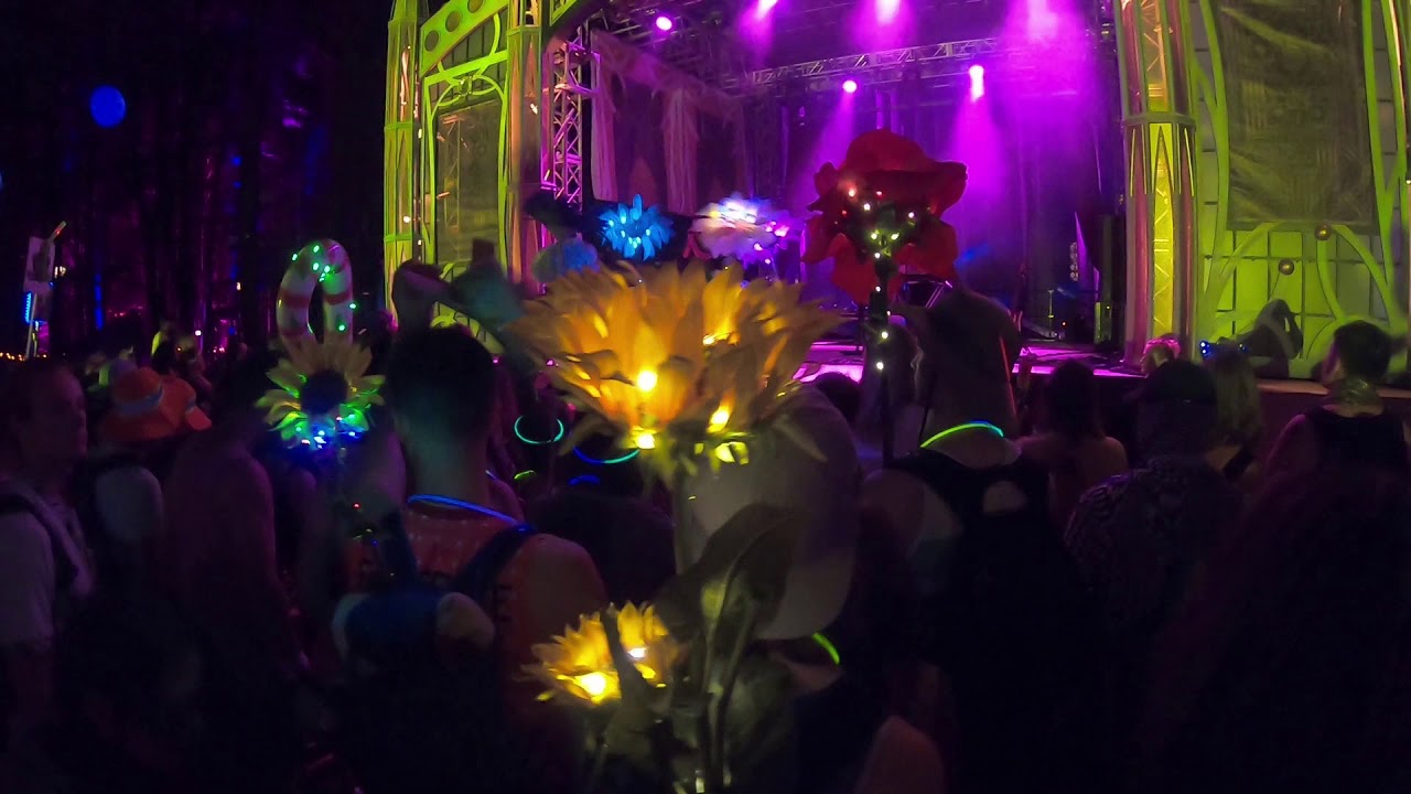 Crooked Colours - Hold On (Electric Forest 2019)