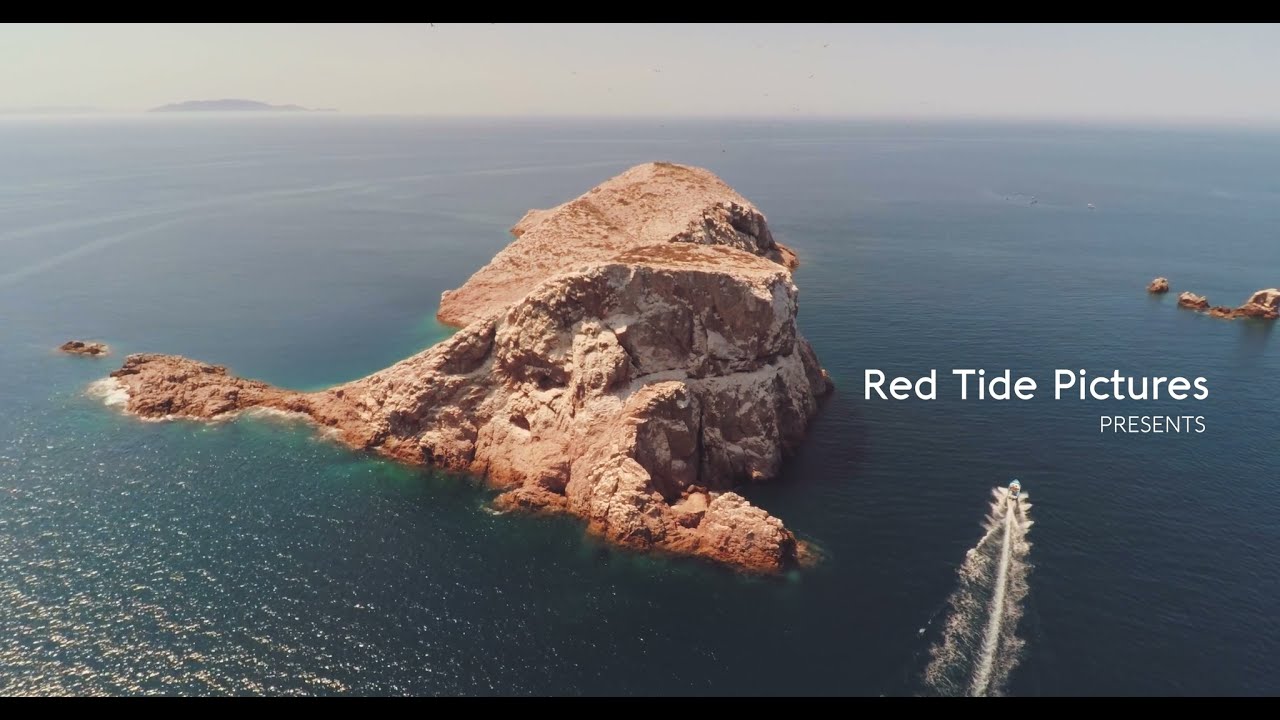 Spearfishing and Blue Water World Cup