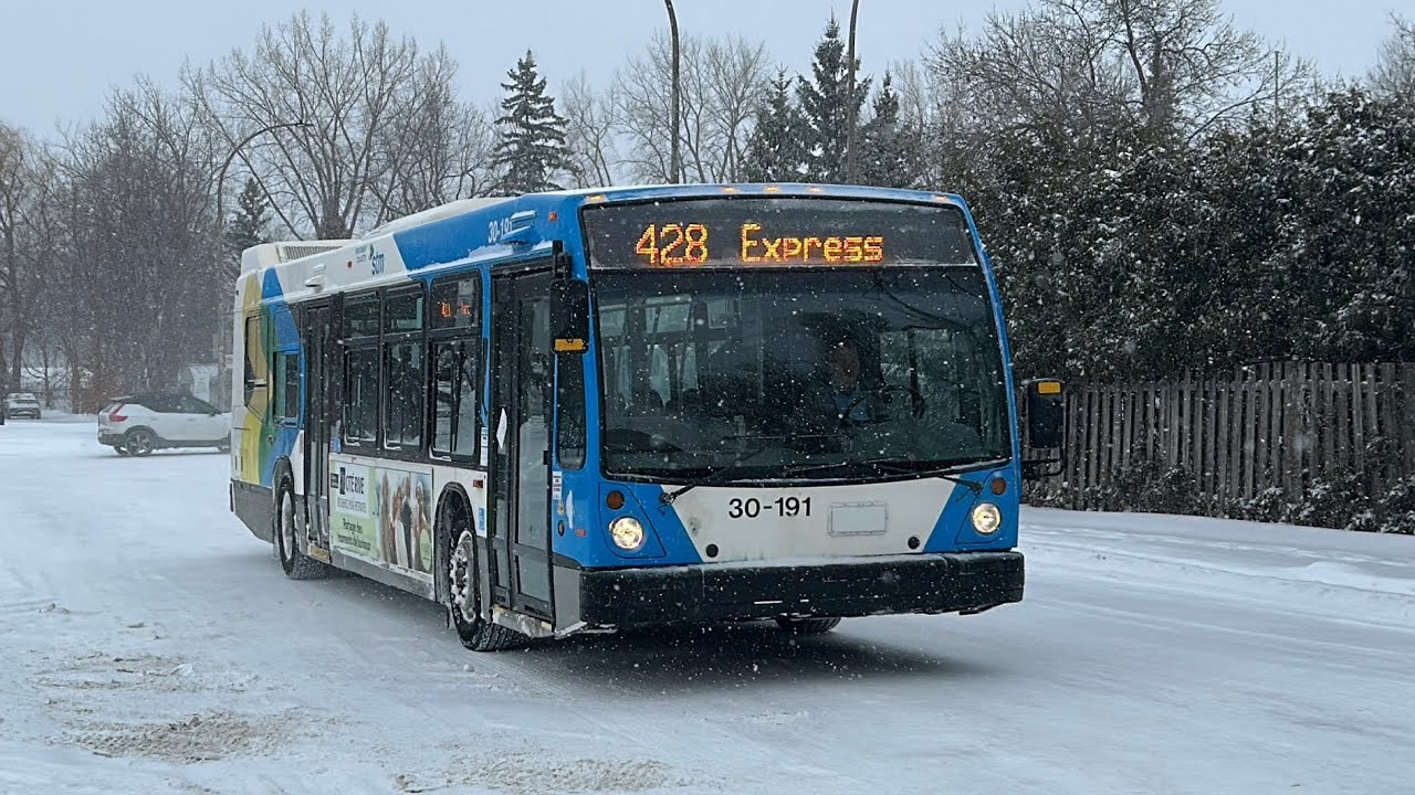 STM bus compilation (January 2026)