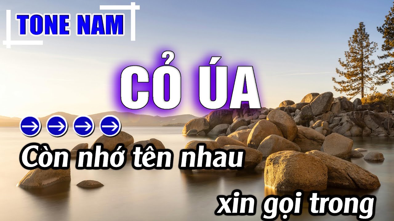 Cỏ Úa Karaoke Tone Nam ( D#m ) Beat Mới | Karaoke Đăng Khôi