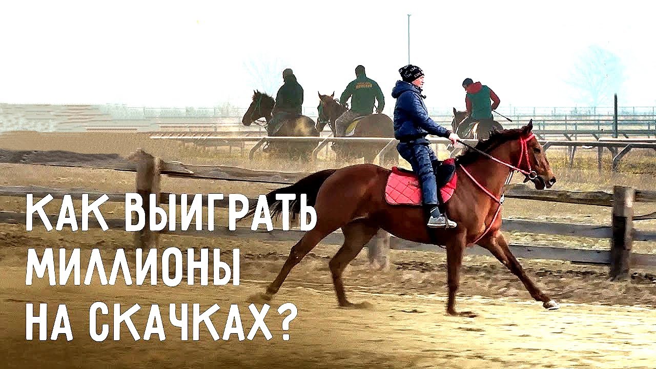 Конные заводы &laquo;Прогресс&raquo;, &laquo;711&raquo; &laquo;Самоволов&raquo; готовятся к скаковому сезону 2024