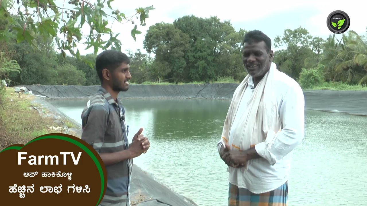 ನೀರಿಗಾಗಿ ಕೃಷಿ ಹೊಂಡ - ಅದಾಯಕ್ಕಾಗಿ ಮೀನು ಸಾಕಣೆ - ಶ್ರೀ ದ್ಯಾಮಪ್ಪ | Fish cultivation in a Farm Pond