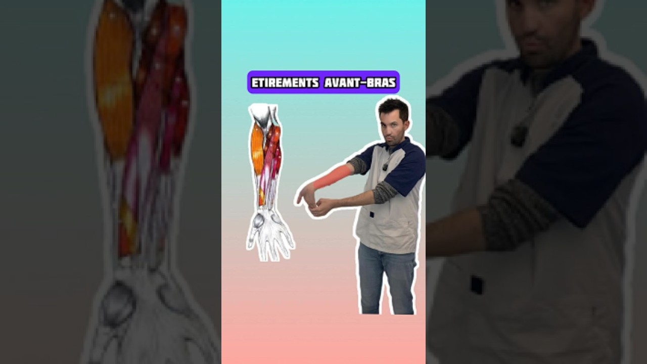 698. Etirements avant-bras (mendiant-princesse)