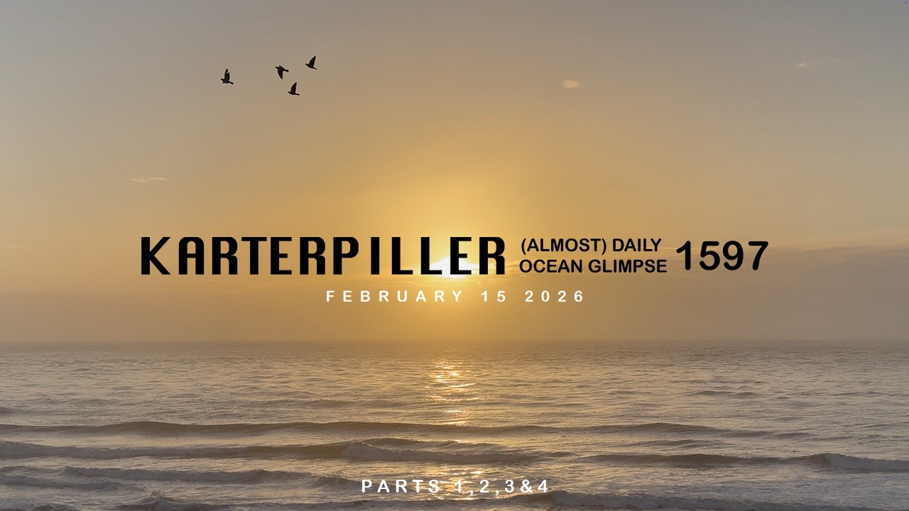 February 15 2026 - Daily Ocean Glimpse 1597