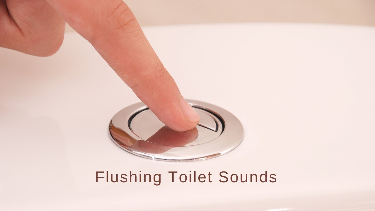 The Absolute Best Toilet Flushing Sounds | 7 Hours Long
